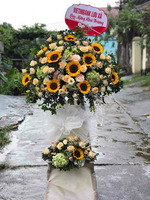 Congratulation Flowers sunflowers