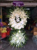 Hoa chia buồn lan trắng