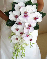 Bó hoa cưới lan hồ điệp trắng