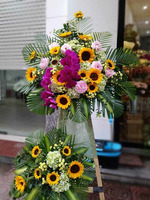 Kệ Hoa mừng khai trương sunflower